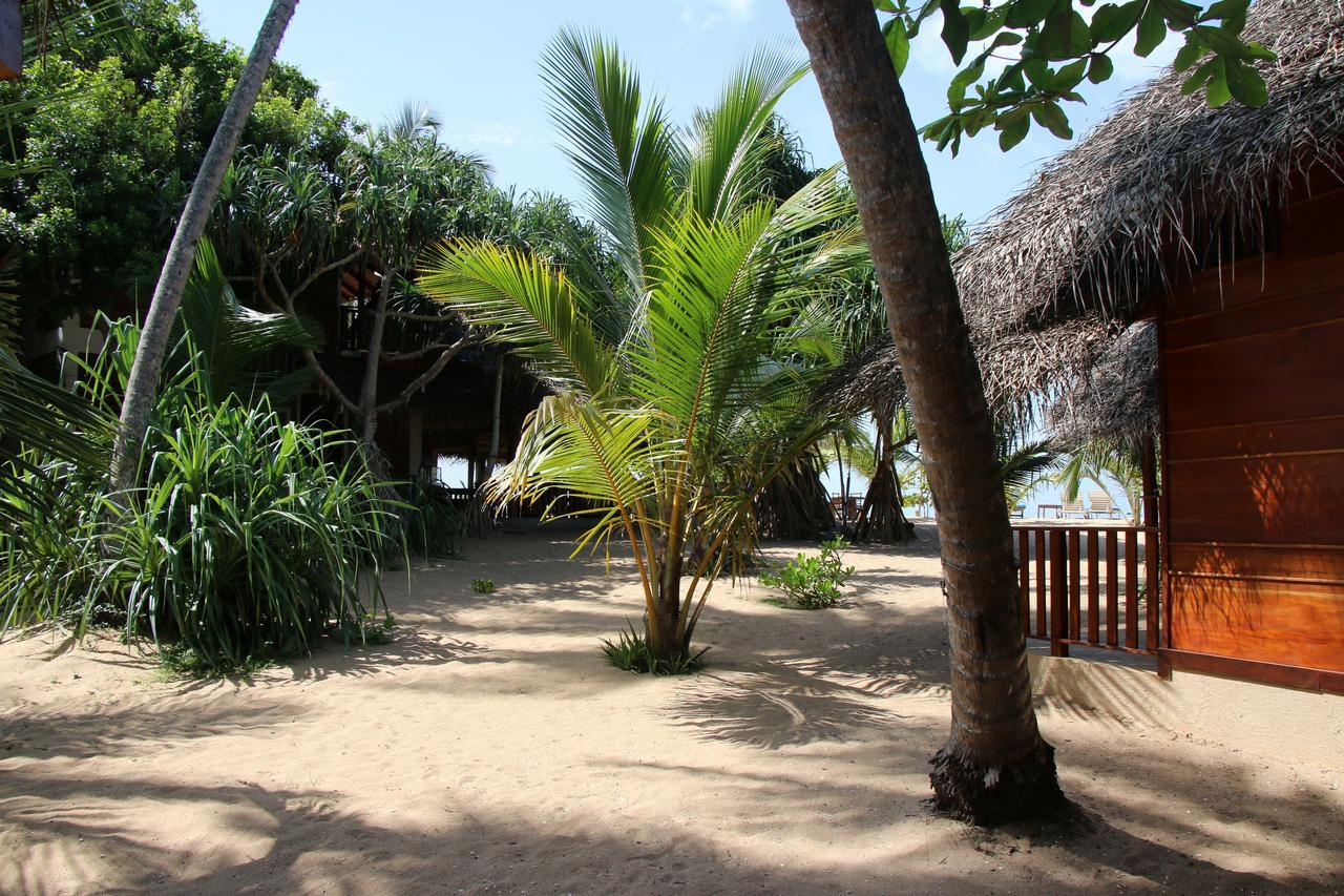 Shiva'S Beach Cabanas Tangalle Exterior photo